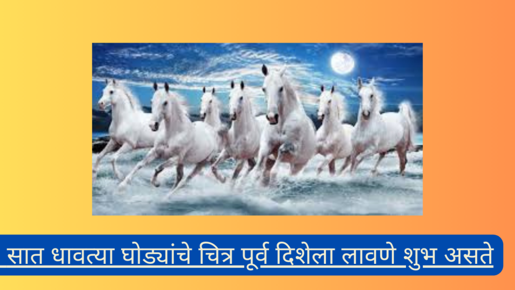 Ratha Saptami 2025 In Marathi: आरोग्य आणि संपत्तीचा मिलाप म्हणजे रथसप्तमी!