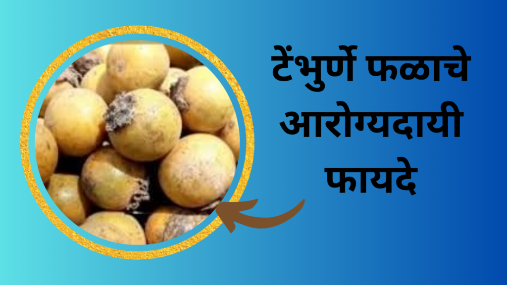 Tembhurne Fruit in Marathi: तुम्हाला माहिती आहे का "टेंभुर्णी" हे फळ?