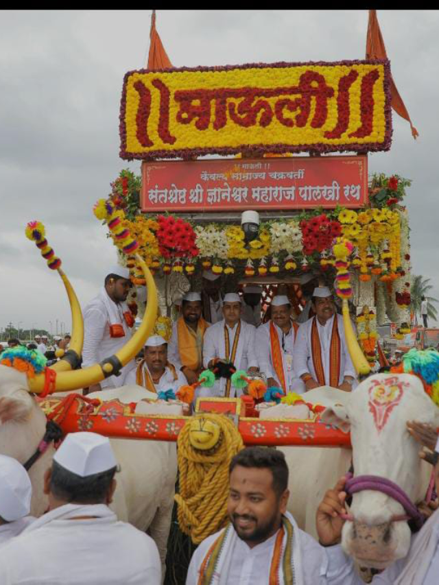 पंढरीची वारी! संतांच्या पायवाटेवरून होणारा 300 किमीचा अलौकिक सहप्रवास!"