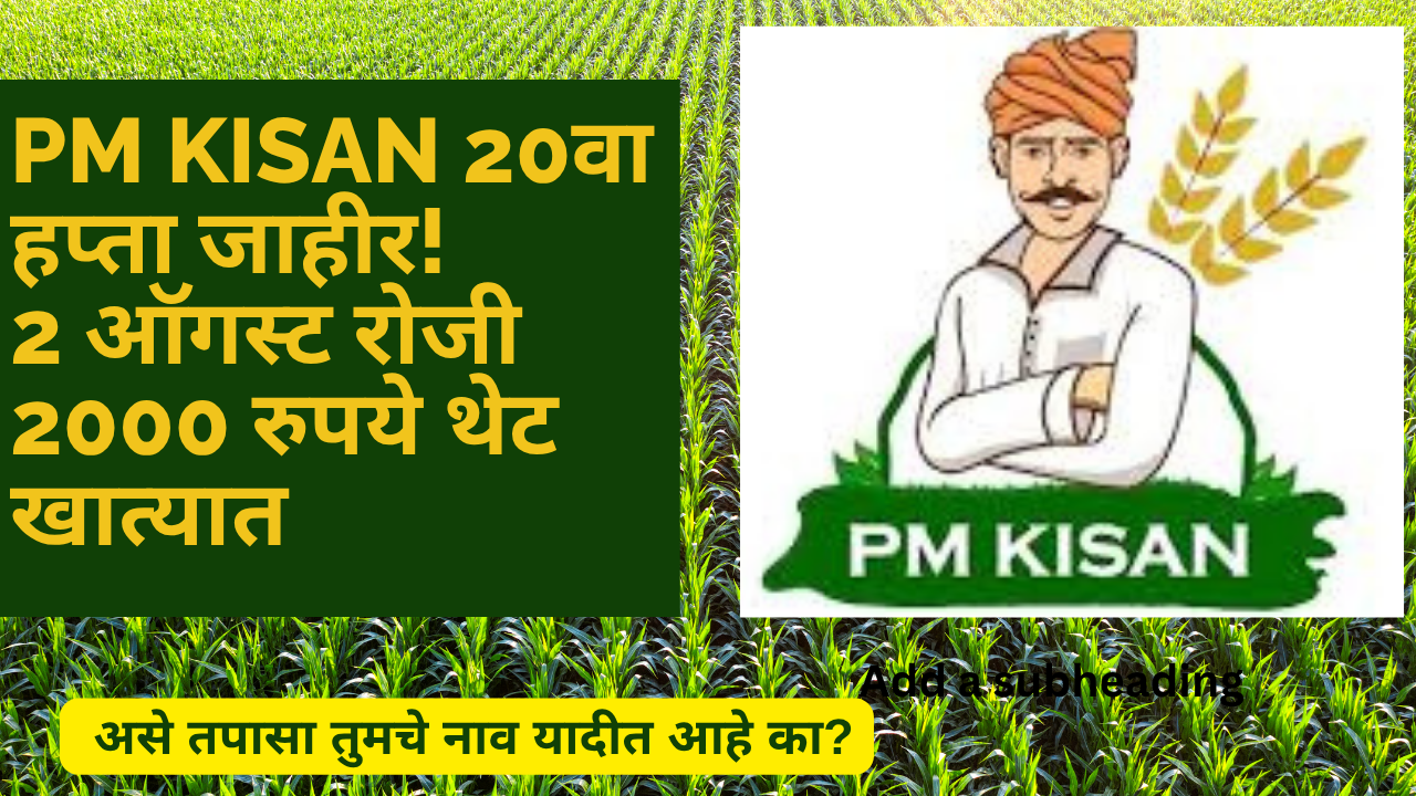 PM Kisan 20 Installment in marathi: PM Kisan 20वा हप्ता जाहीर! 2 ऑगस्ट रोजी 2000 रुपये थेट खात्यात