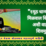 Shravani Somvar Shivamuth 2025:"१ मूठ धान्याने कसे मिळवाल शिवकृपा? अशी वाहतात शिवमुठ"