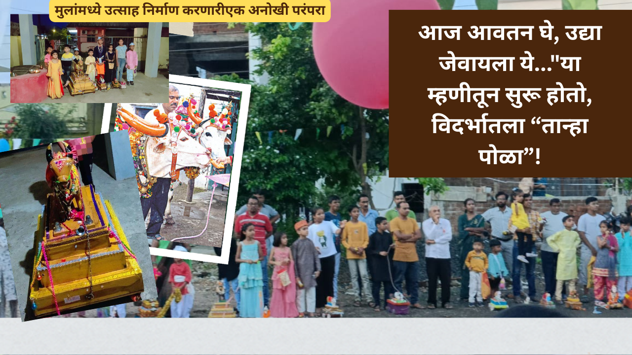 Bailpola and tahana pola in Marathi:"आज आवतन घे, उद्या जेवायला ये…"या म्हणीतून सुरू होतो, विदर्भातला तान्हा पोळा!