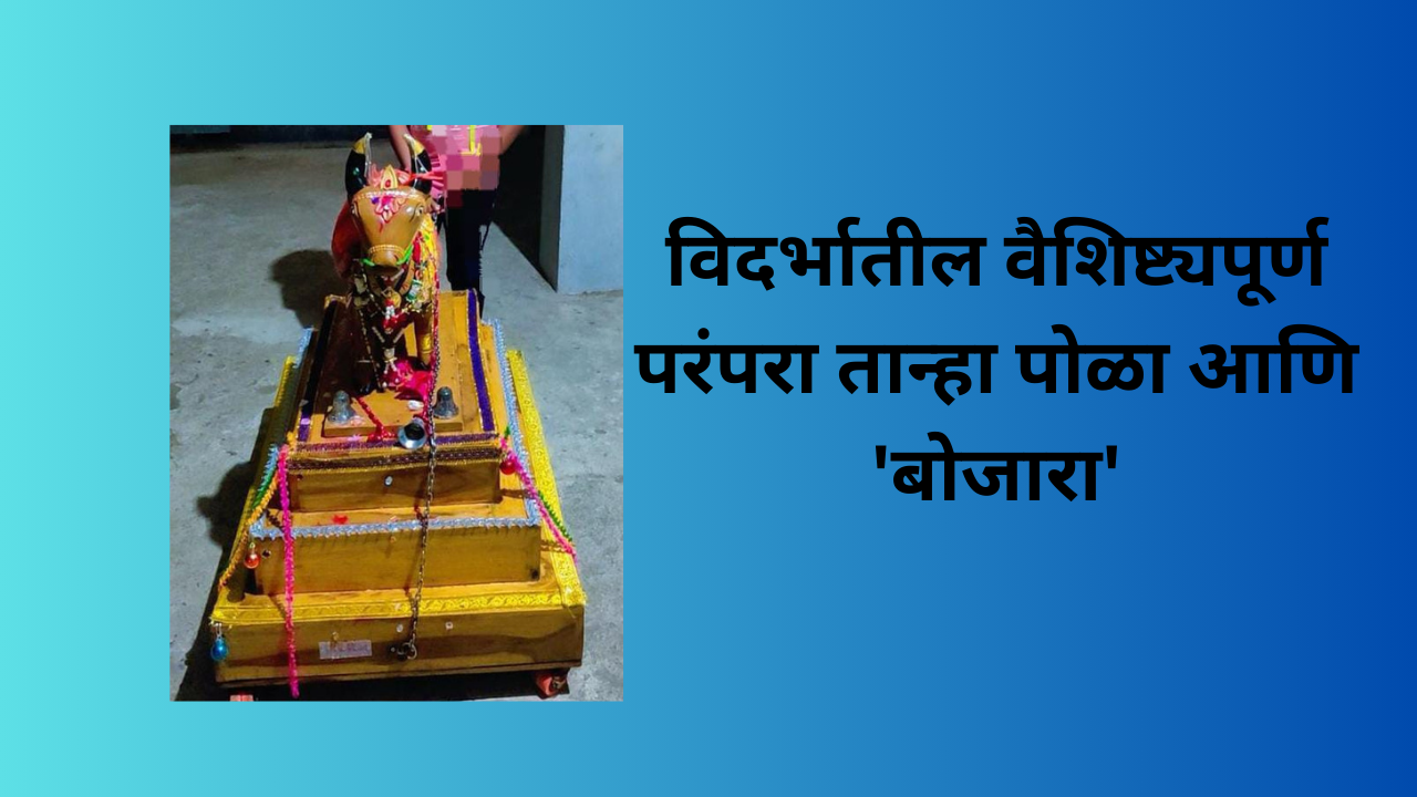 Add a heading (3) Bailpola and tahana pola in Marathi:"आज आवतन घे, उद्या जेवायला ये…"या म्हणीतून सुरू होतो, विदर्भातला तान्हा पोळा!