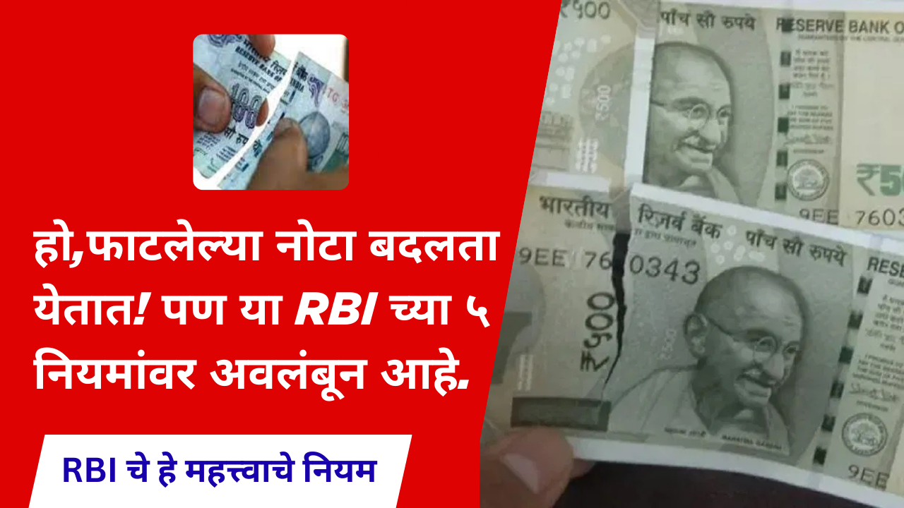 RBI guidelines for damage notes exchange; हो,फाटलेल्या नोटा बदलता येतात! पण या RBI च्या ५ नियमांवर अवलंबून आहे.