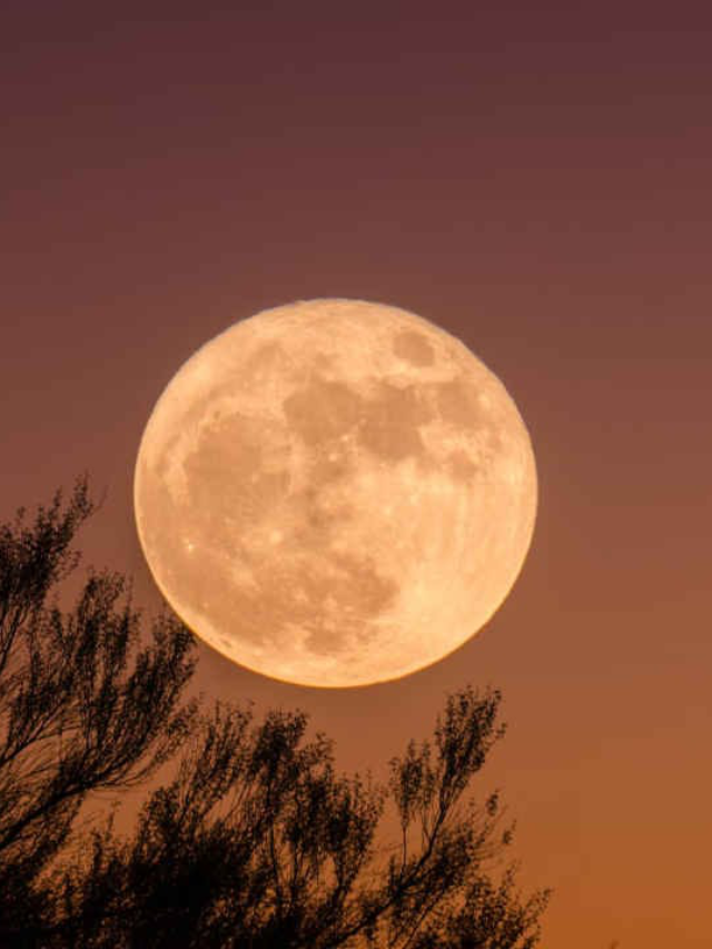 Supermoon of 2026:"आज रात्री नक्की पहा सुपर वुल्फ मूनचा अनोखा नजारा"